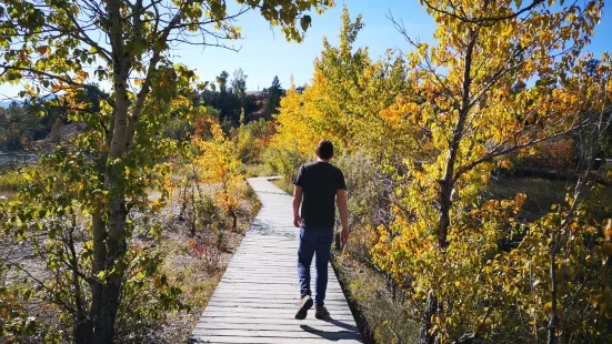 James Chabot Provincial Park