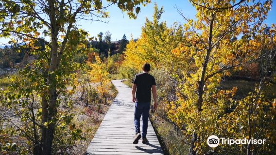 James Chabot Provincial Park