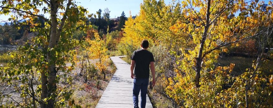 James Chabot Provincial Park