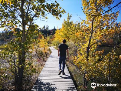 James Chabot Provincial Park