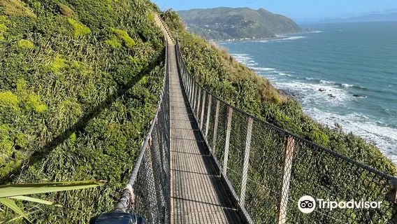 Paekakariki Escarpment Walkway