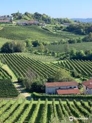 Prosecco Hills - World Heritage Site