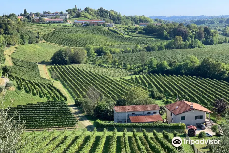 Prosecco Hills - World Heritage Site