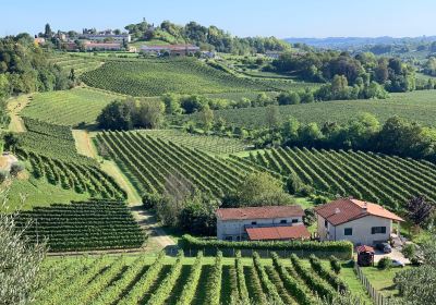 Prosecco Hills - World Heritage Site