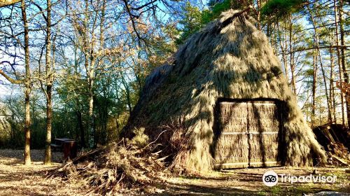 Reserve naturelle du Pinail