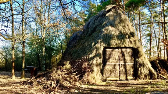 Reserve naturelle du Pinail