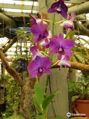 Mackay Orchid House