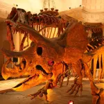 Natural History Museum of Los Angeles County