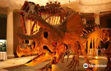 Natural History Museum of Los Angeles County