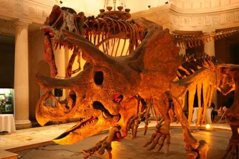 Natural History Museum of Los Angeles County