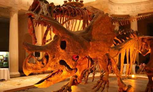 National History Museum of Los Angeles County