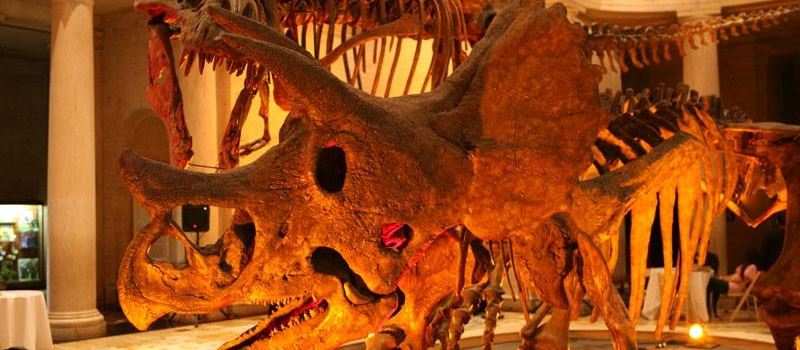 Natural History Museum of Los Angeles County