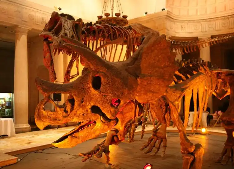 Các khách sạn gần Natural History Museum of Los Angeles