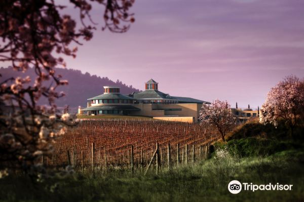 Vivanco Museum of Wine Culture