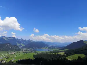 Zahmer Kaiser