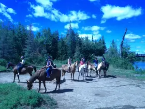 Horsin Around Riding Ranch