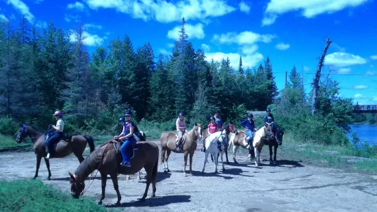 Horsin Around Riding Ranch
