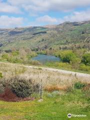 Roxburgh Hydro Dam & Lookout