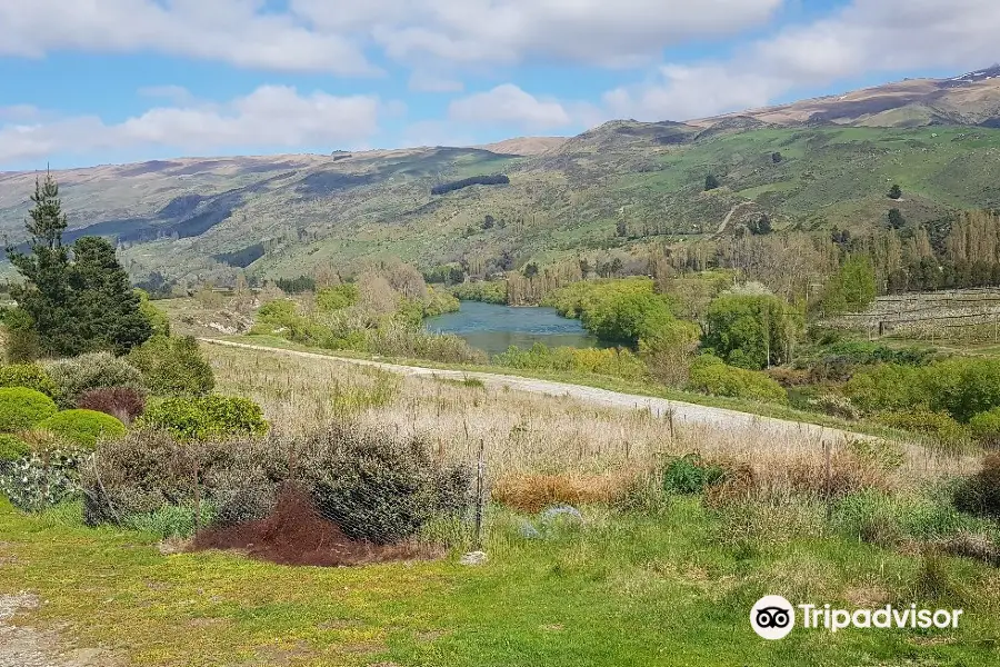 Roxburgh Hydro Dam & Lookout