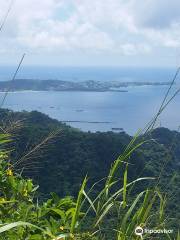 Wondering Soles Grenada