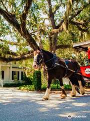 Sea Island Carriage Company