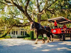 Sea Island Carriage Company