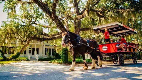 Sea Island Carriage Company