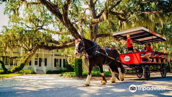 Sea Island Carriage Company