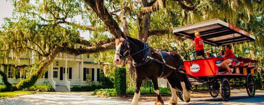Sea Island Carriage Company