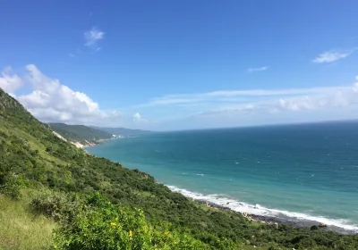 Treasure Beach