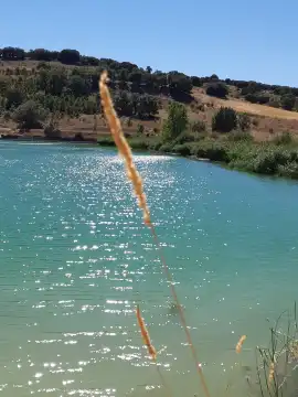 Embalse de Encinas De Esgueva