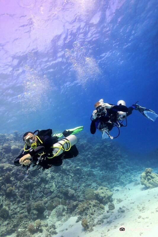 Sahl Hasheesh