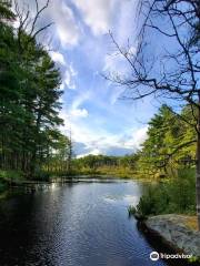 Mass Audubon's Broadmoor Wildlife Sanctuary