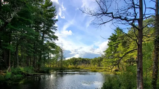 Mass Audubon's Broadmoor Wildlife Sanctuary