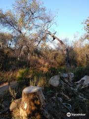 Mission Trails Regional Park