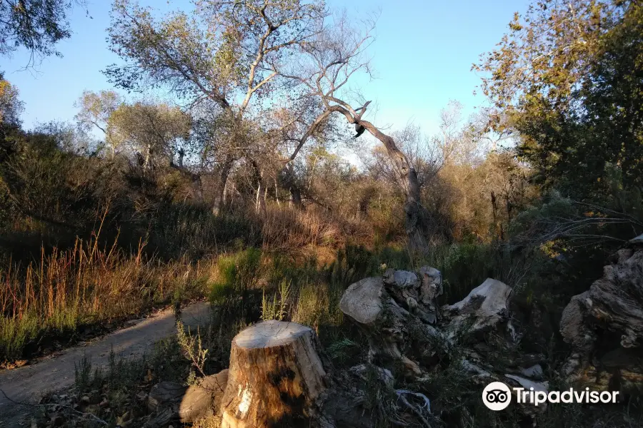 Mission Trails Regional Park