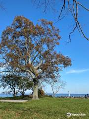 Rocky Point Beach and Park