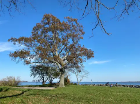 Rocky Point Park and Beach