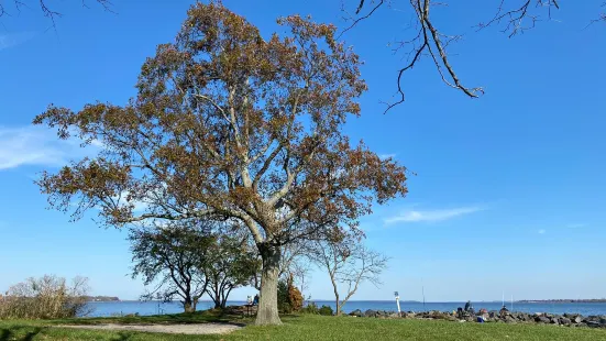 Rocky Point Park and Beach