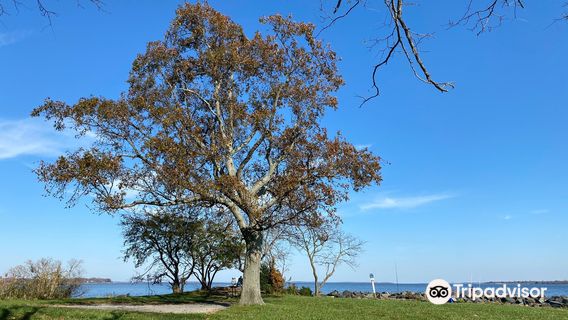 Rocky Point Park and Beach