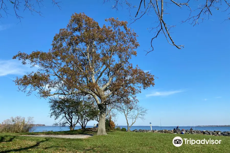 Rocky Point Park and Beach