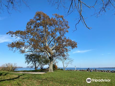 Rocky Point Park and Beach