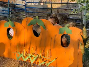 The Bartels Farm
