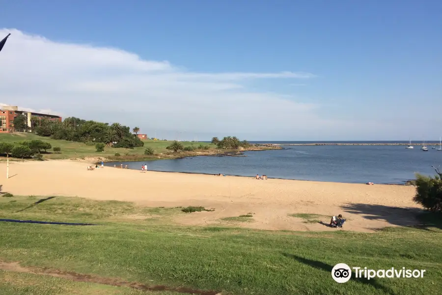 Playa del buceo