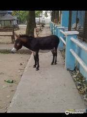 Port Harcourt Zoo