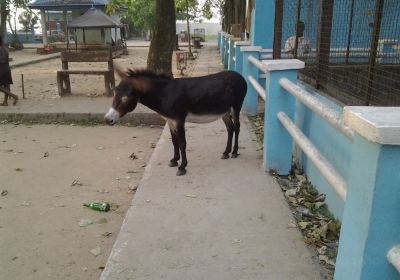 Port Harcourt Zoo