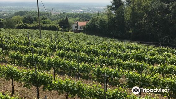 Giavera del Montello
