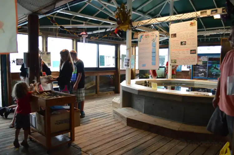 Các khách sạn gần Marine Life Center