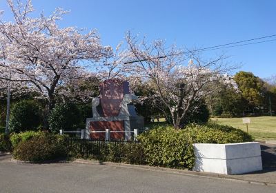 Miwamidoriyama Central Park