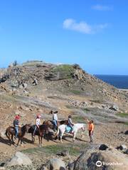 El Paseo Ranch Aruba